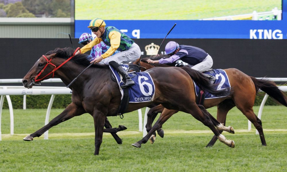 泰山的战略 泰山的战略