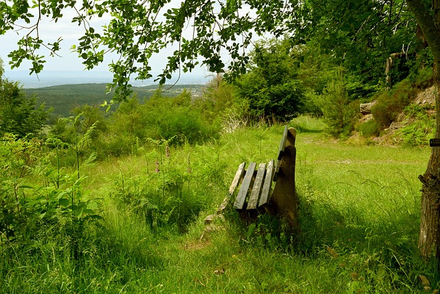 标的关键一 标的关键一