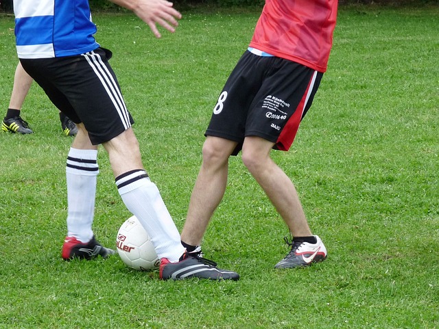 界锦标赛和 界锦标赛和